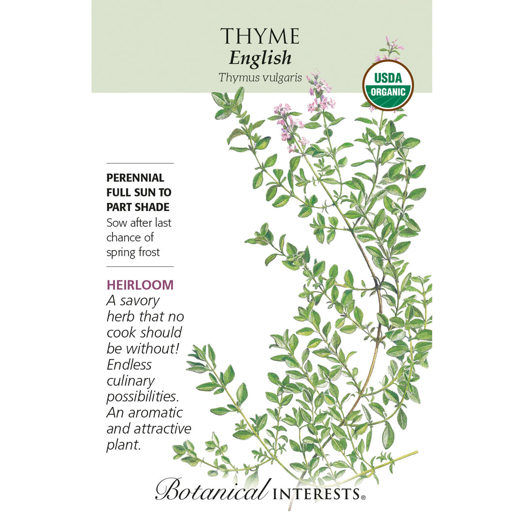 Thyme, English (Organic) Botanical Interests Seeds