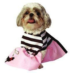 Pet Poodle Girl Halloween Costume, Large