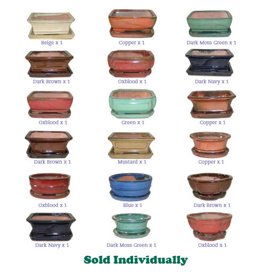 Border Concepts Professional Bonsai Pot w/ Saucer, 6.25-Inch (Styles & Colors Vary)