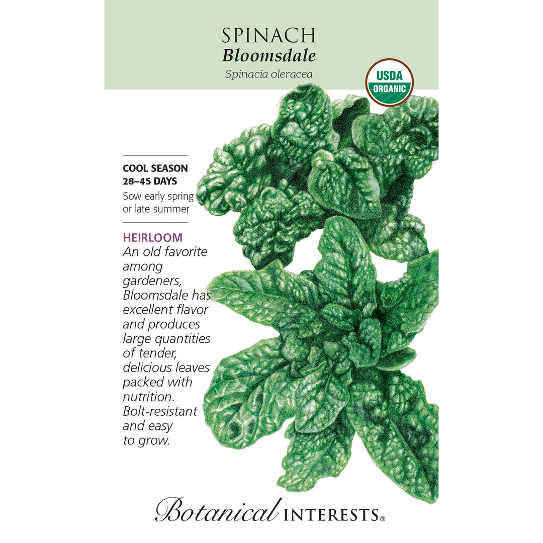 Spinach, Bloomsdale (Organic) Botanical Interests Seeds (LG)