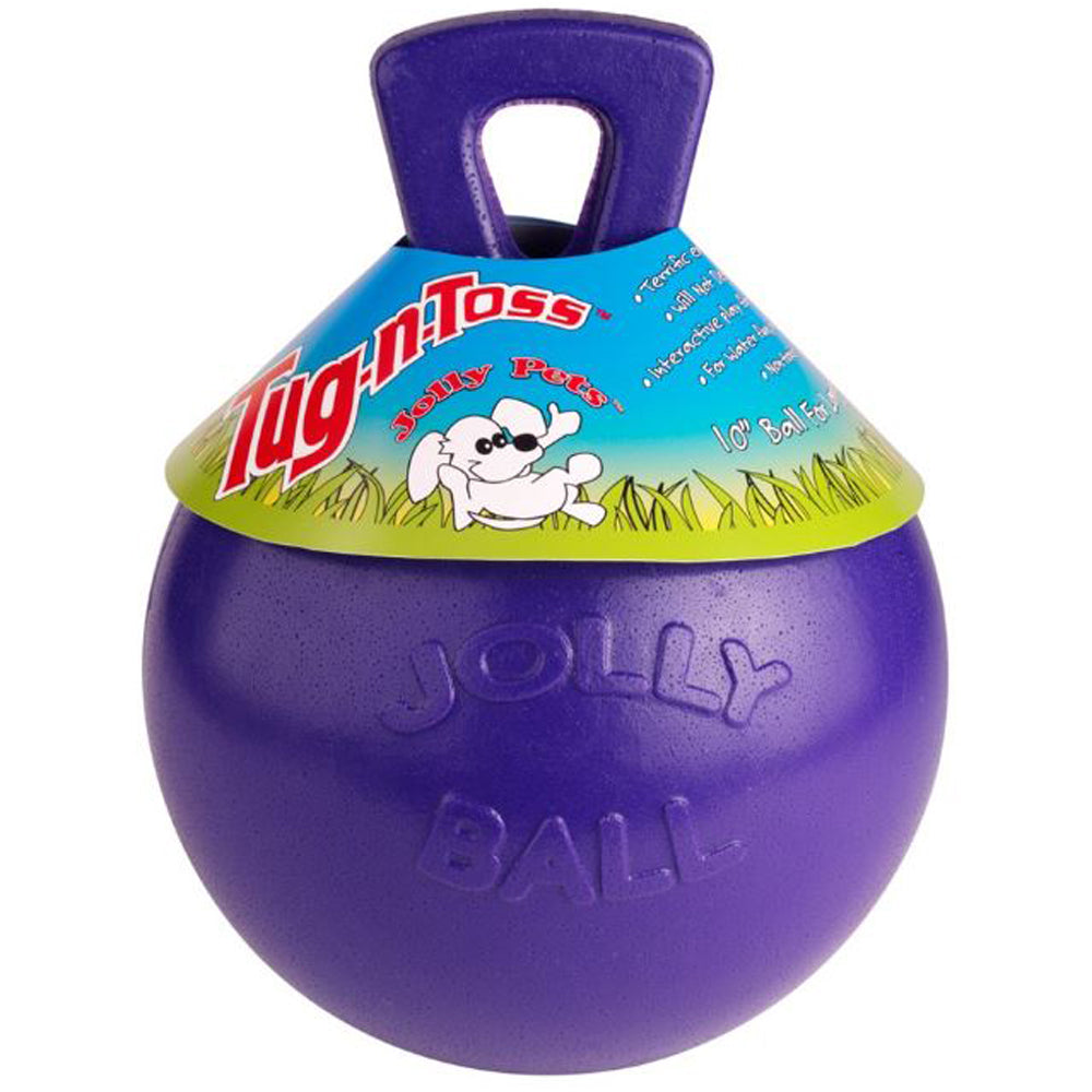 Jolly Pet, Jolly Ball W/Handle, Purple, 6"