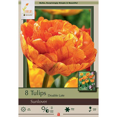 Netherland Bulb Co. Tulip, Sunlover Bulbs
