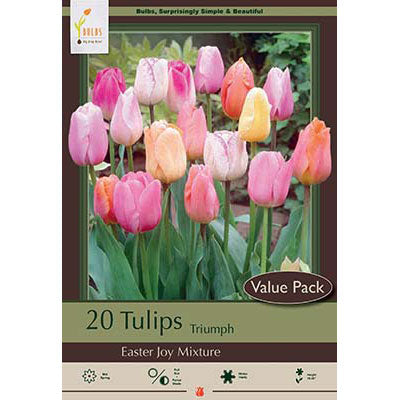 Netherland Bulb Co. Tulip, Easter Joy Mixture Bulbs Value Pack,18 ct