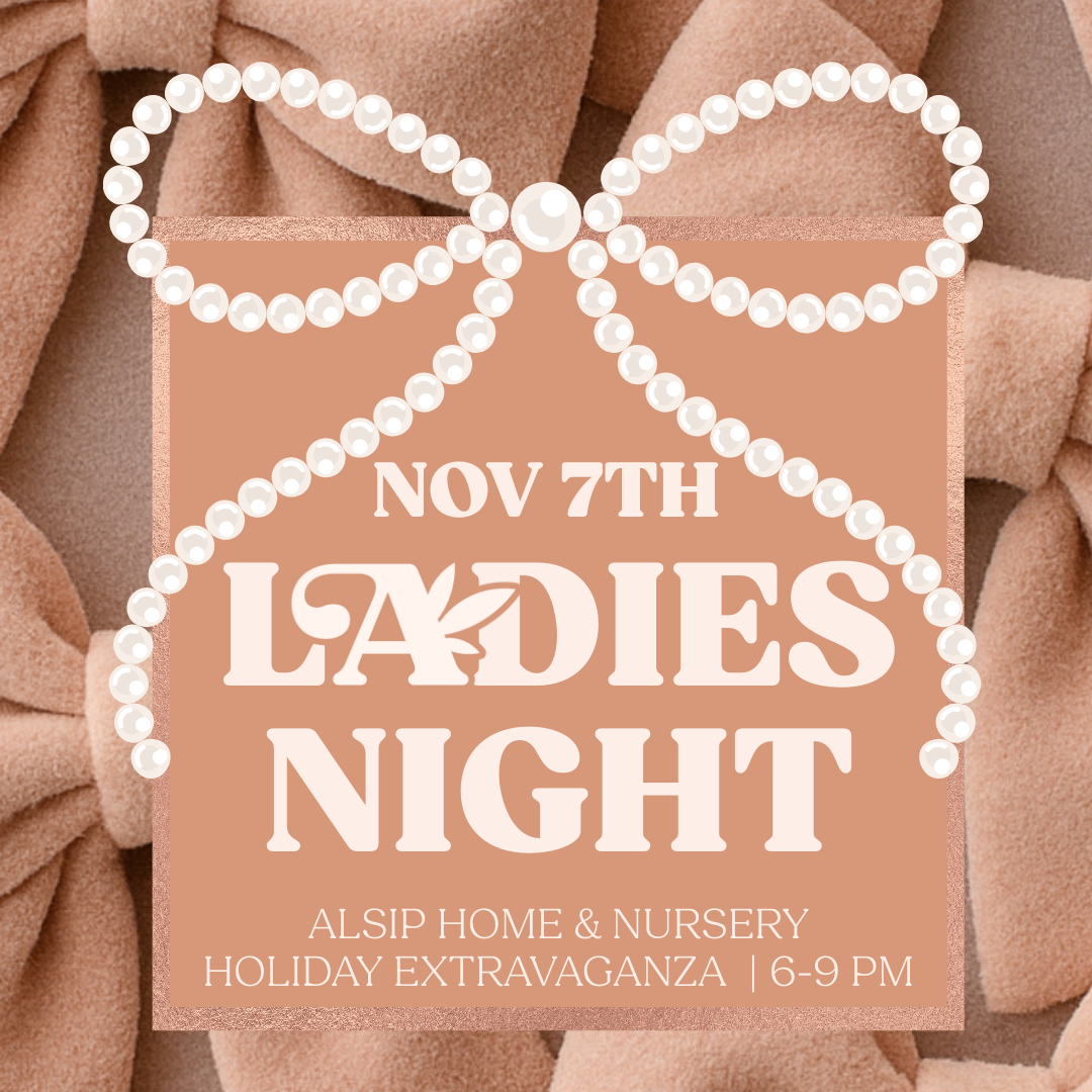 Ladies Night 2025 - November 7th Holiday Extravaganza