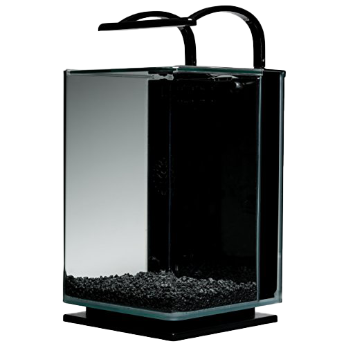 Marineland Glass Contour Aquarium Kit with Rail Light, 5 gal.