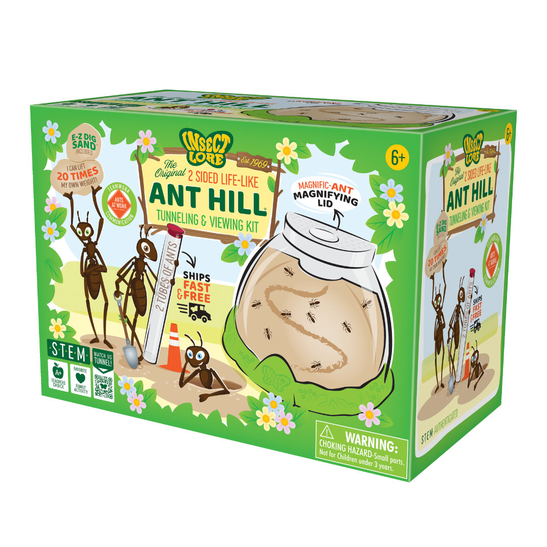 Ant Hill