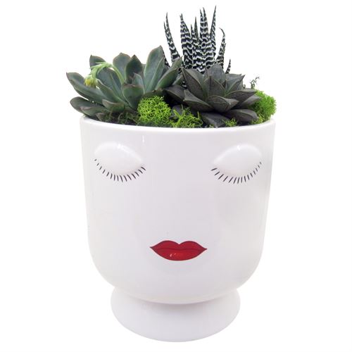 Selfie Ceramic Planter w/ Succulent, Live Plant in Decorative Ceramic Planter