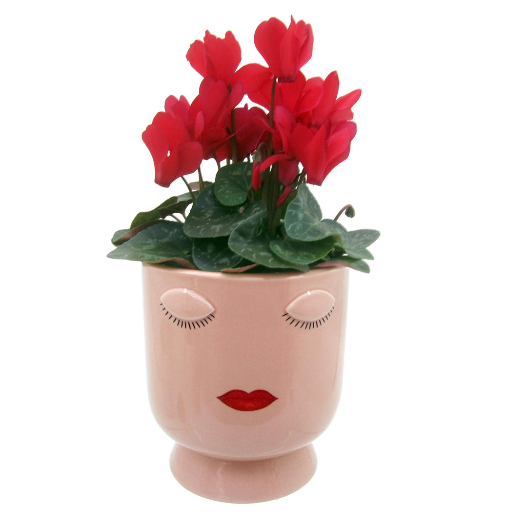 Selfie Ceramic Planter w/ Cyclamen, Live Plant in Decorative Ceramic Planter