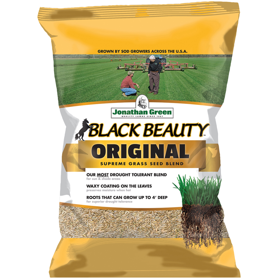 Black Beauty Grass Seed, 7500 Sq. Ft.