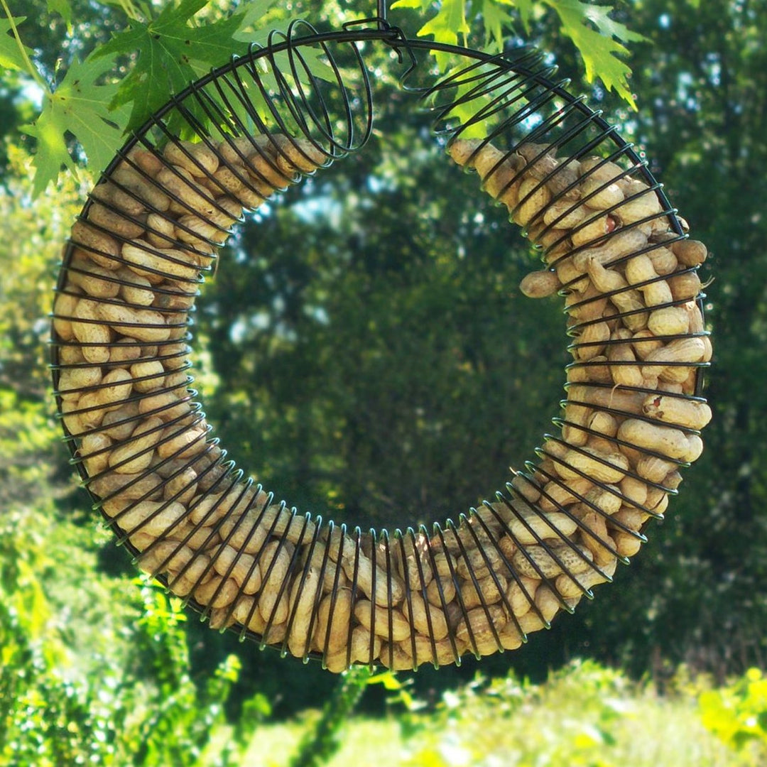 Songbird Essentials Whole Peanut Wreath