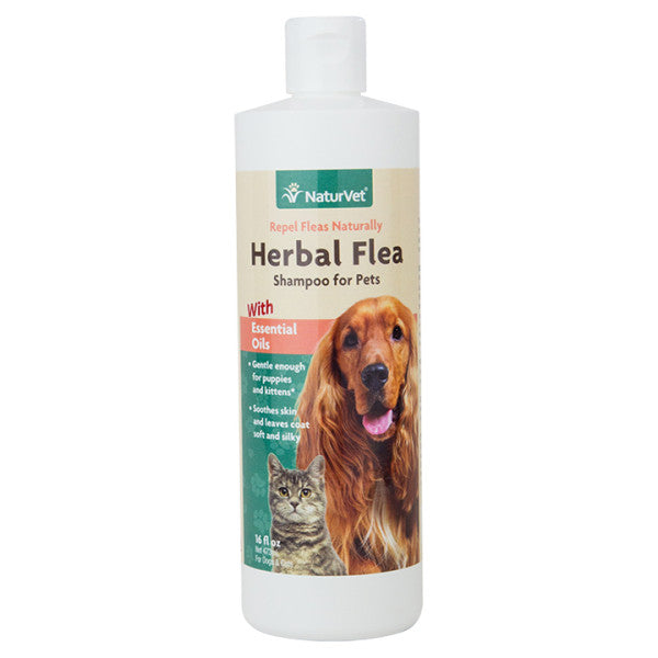 Herbal Flea Shampoo, 16 oz.