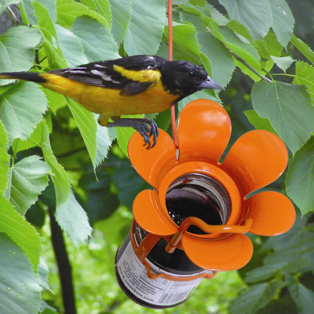 Jelly/Jam Oriole Feeder