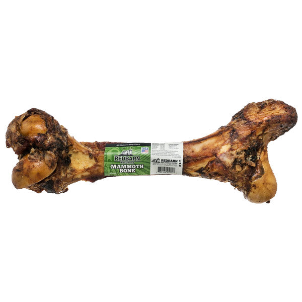 Redbarn Mammoth Bone