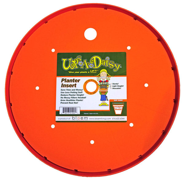 Ups-A-Daisy, 11"