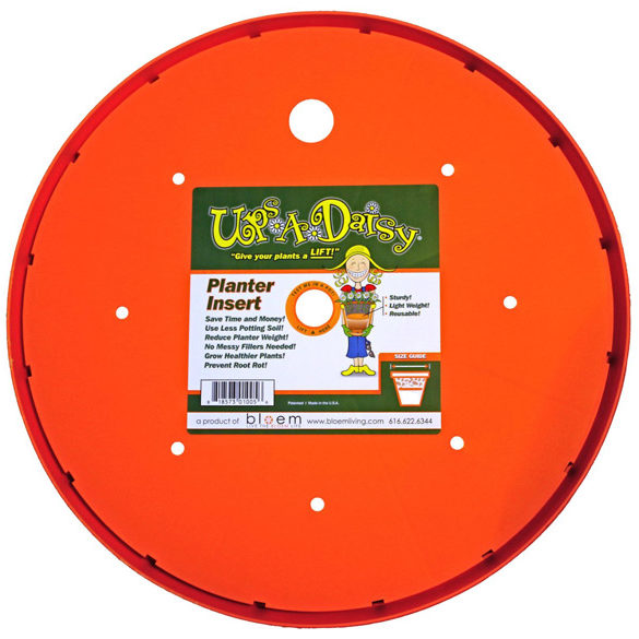 Ups-A-Daisy, 15"