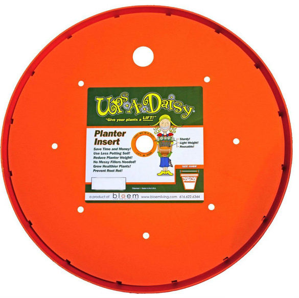 Ups-A-Daisy, 16"