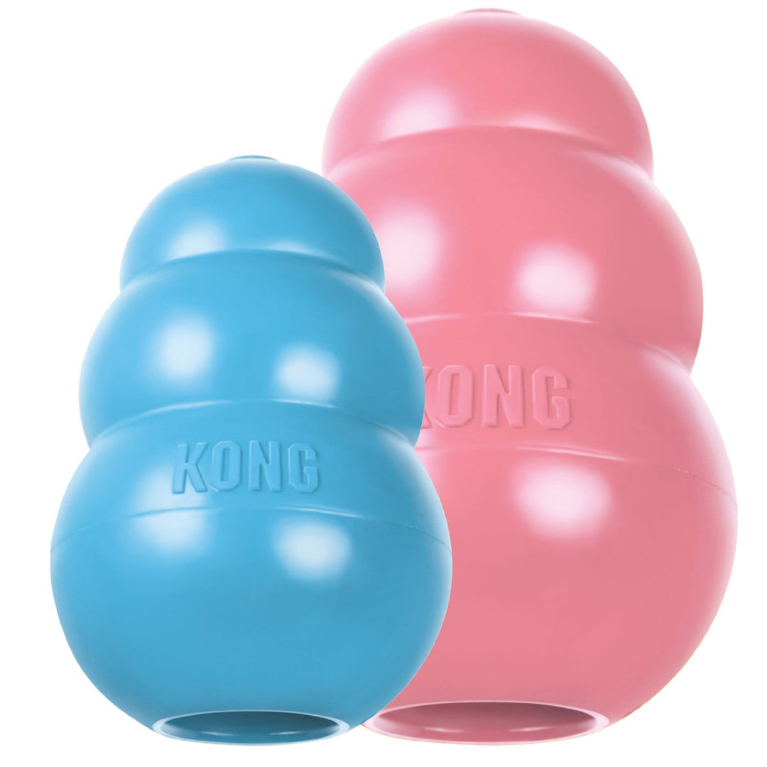 KONG Puppy KONG Toy, Medium