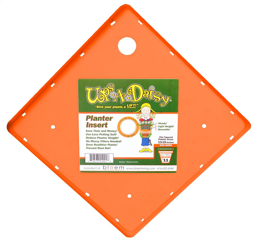 Ups-A-Daisy Square, 14"