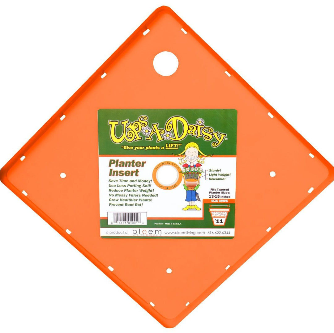 Ups-A-Daisy Square, 11"