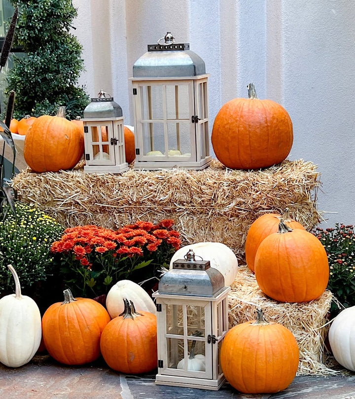 Strawbale - Fall Porch & Yard Décor