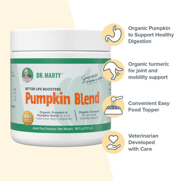 Dr. Marty, Life Booster Pumpkin Blend Powder, 3.12oz