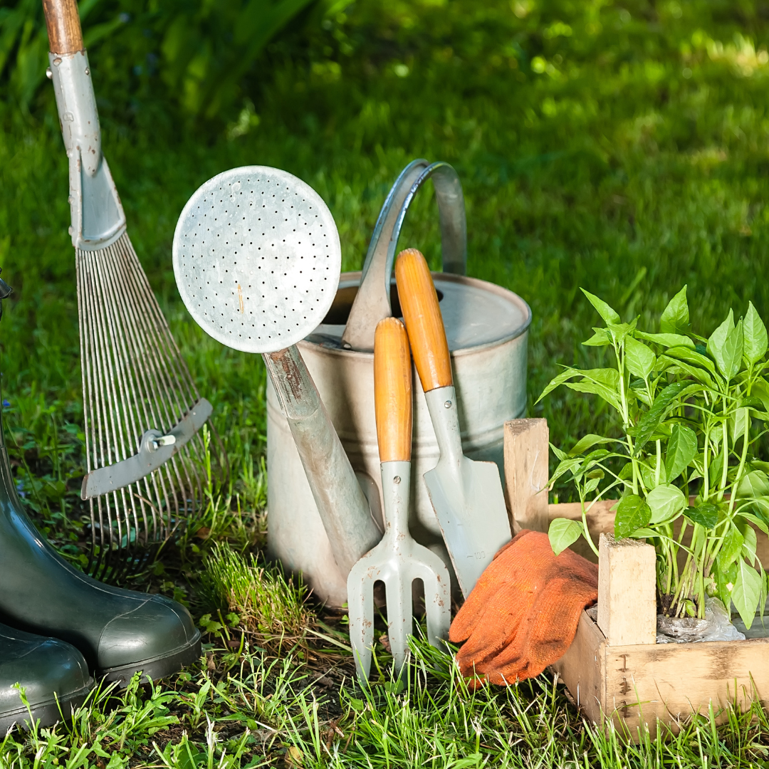 5 Essential Preparation Tasks for Your Spring Garden