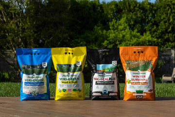 March Lawn Care Guide: Start Strong with a 4-Step Lawn Program