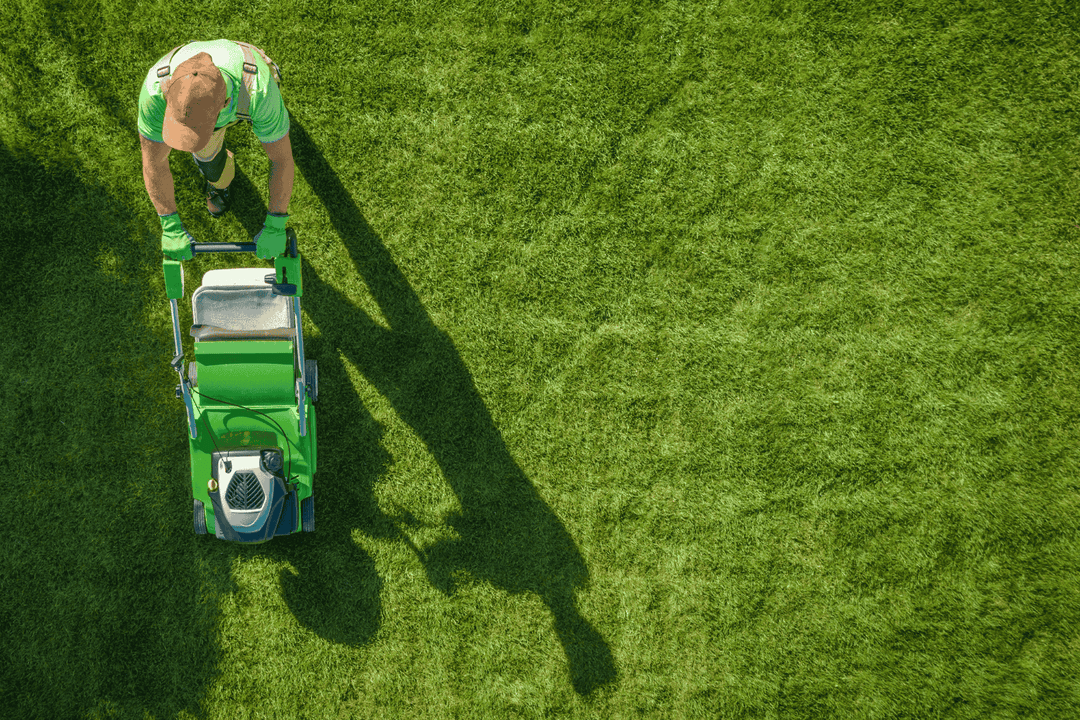 Man moving the lawn