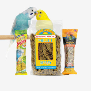 Bird Food & Treats