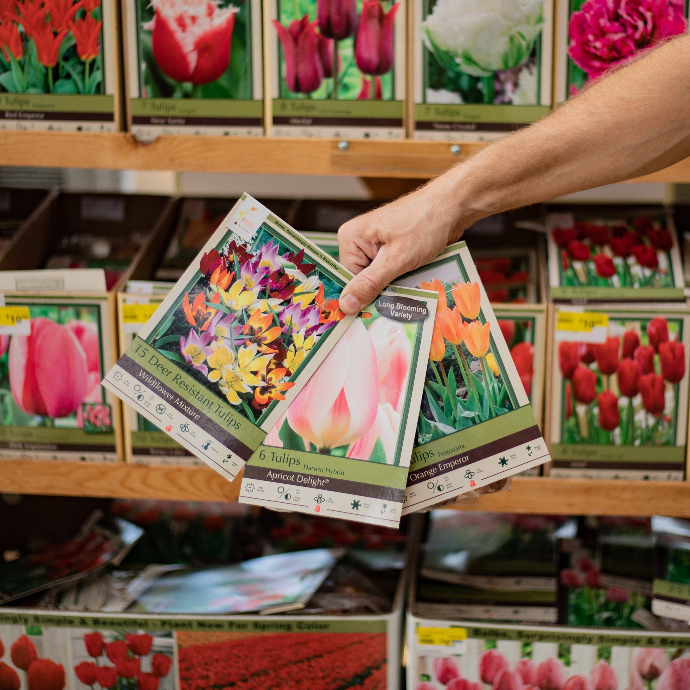 Fall Planted Bulbs