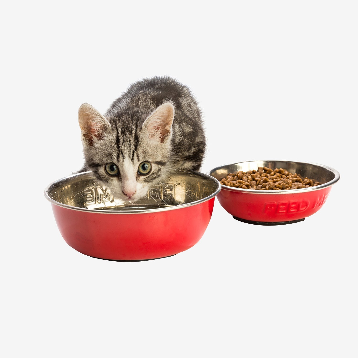 Cat Bowls & Feeders