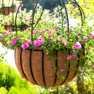 Wire Planters & Accessories