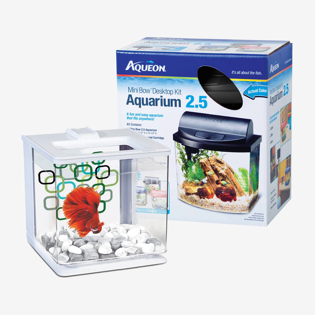 Fish Tanks And Aquariums