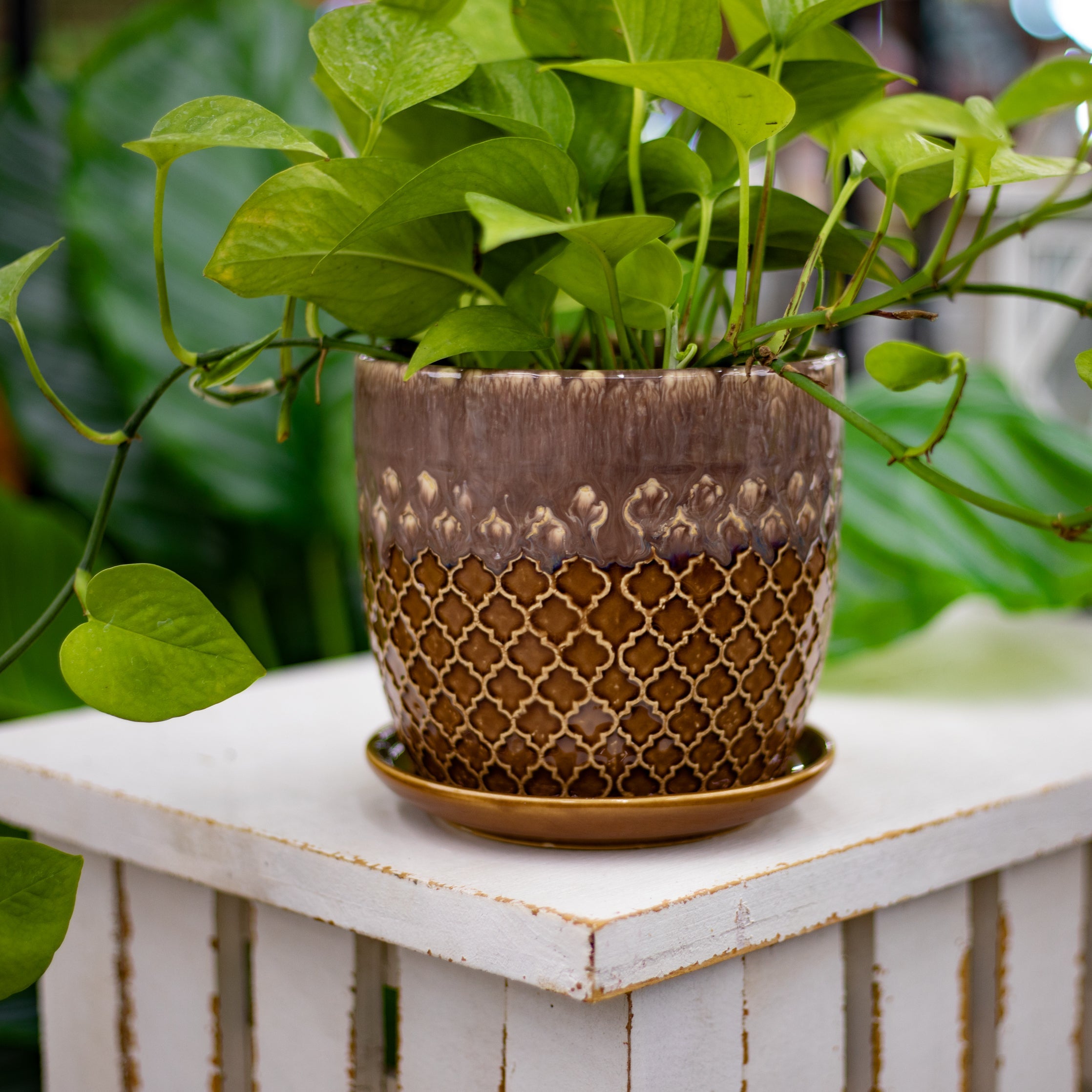 Ceramic Novelty Pots