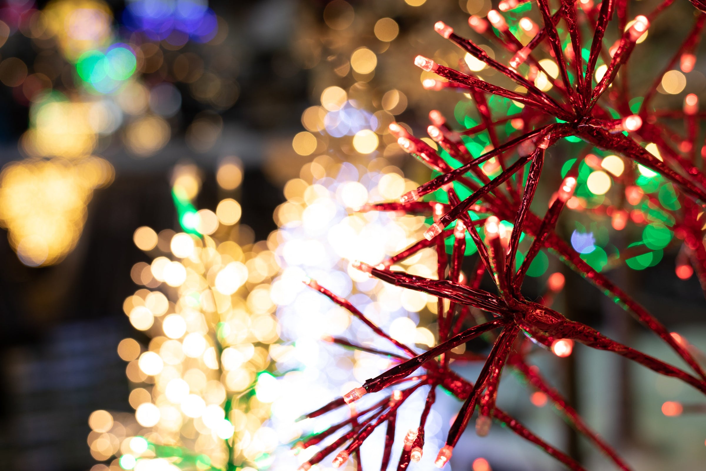 Outdoor Lighted Decor