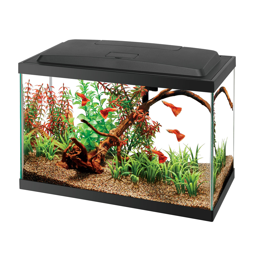 Aqueon 5.5 LED Aquarium Starter Kit