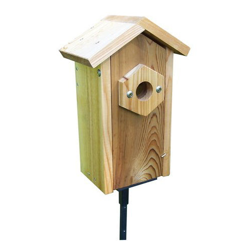 WINDOW VIEWING NEST BOX WITH SUCTION CUPS