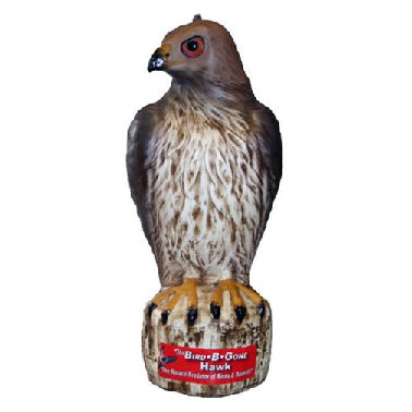 HAWK DECOY