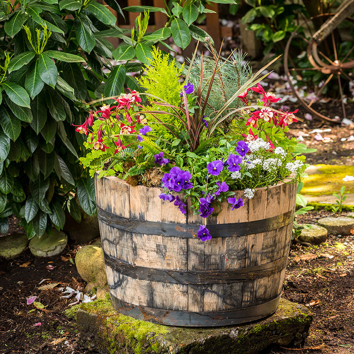 Oak Half Whiskey Barrel