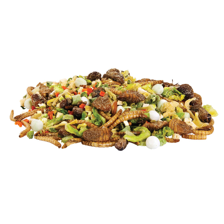 Zilla Reptile Munchies Omnivore, 4 oz.