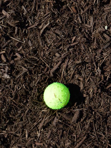 Light Brown Mulch, Bulk Sold By The Yard