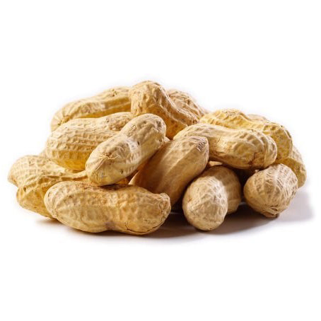 Peanuts Raw In Shell, 25 LB