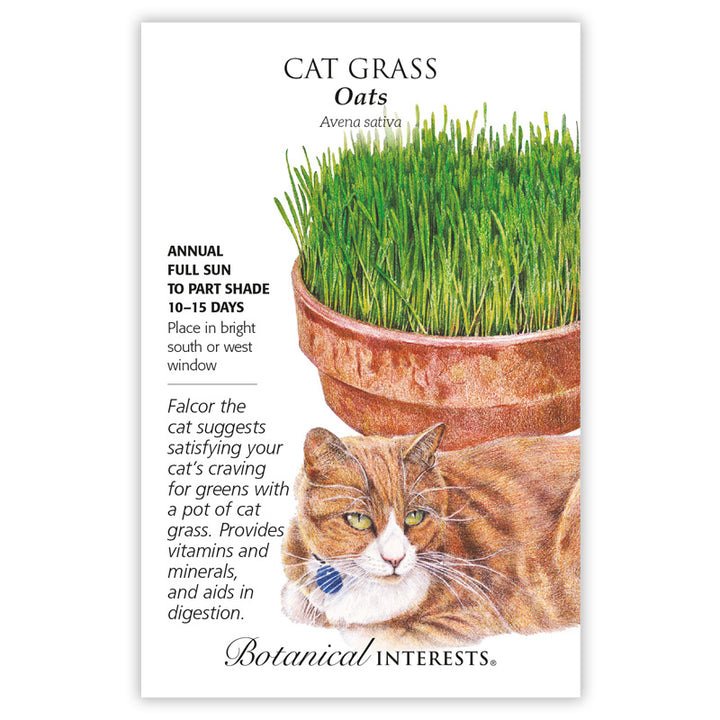 Cat Grass Oats Botanical Interests Seeds