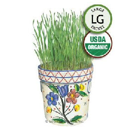 WHEATGRASS LIQUID SUNSHINE ORGANIC HEIRLOOM SEEDS