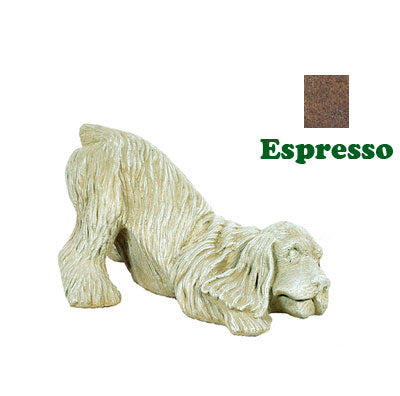 Playful Cocker Spaniel-Expresso