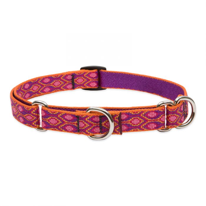 Lupine Dog Collar, 3/4" Wide, 10"-14" Combo Martingale Training, Aspen Glow