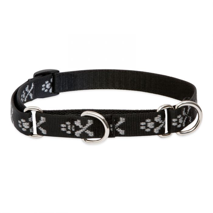 Lupine Dog Collar, 3/4" Wide, 14"-20" Combo Martingale Training, Bling Bonz