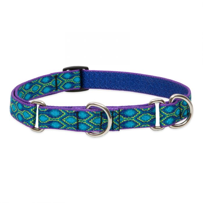 Lupine Dog Collar, 3/4" Wide, 14"-20" Combo Martingale Training, Rain Song