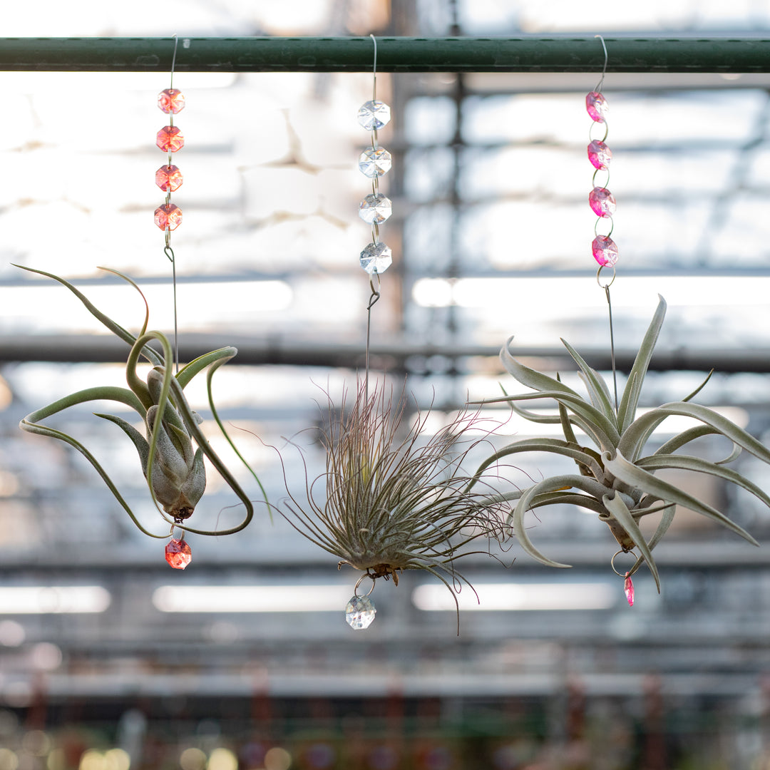 Hanging Airplant Charm