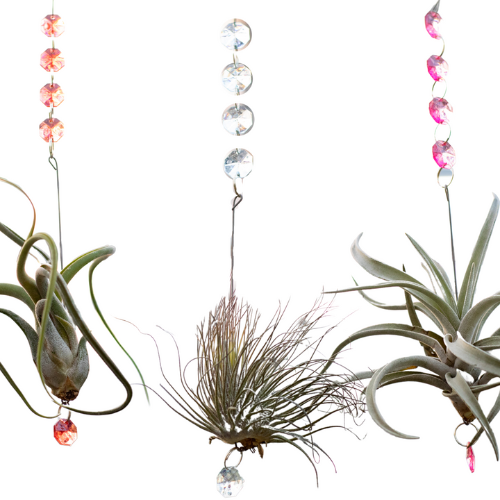 Hanging Airplant Charm